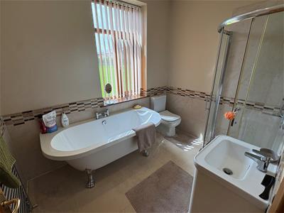 Picture 11